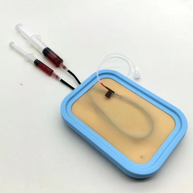Venipuncture Training Kit Sili - Model Kit Store ulasan dan harga