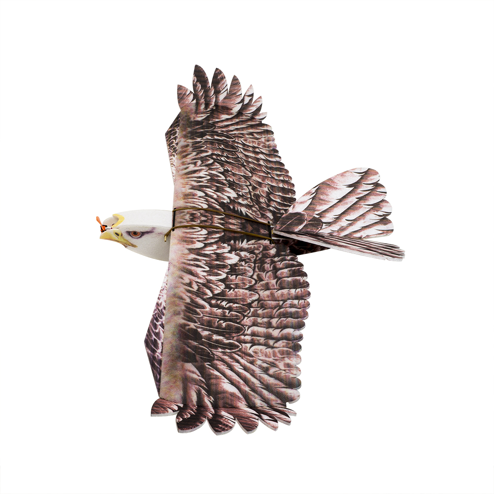 DW Hobby Eagle II EPP Airplane - Model Kit Motor ulasan dan harga