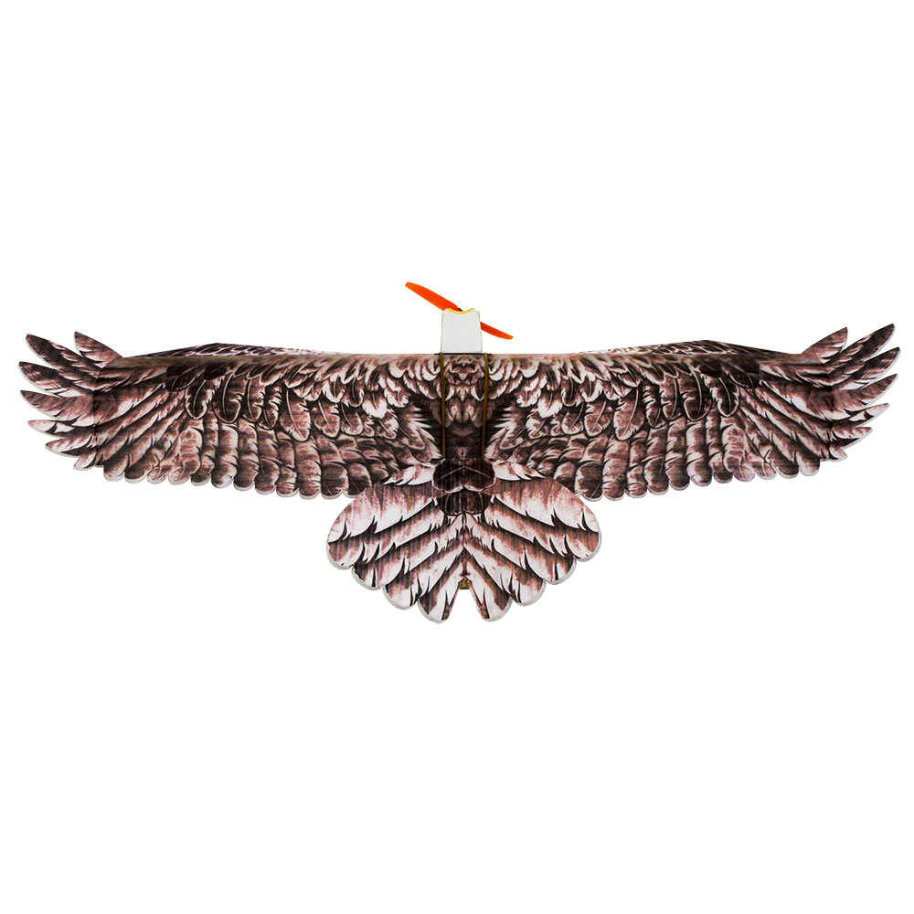 DW Hobby Eagle II EPP Airplane - Model Kit Motor ulasan dan harga