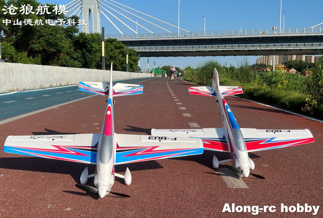 F803  F3A Skylarks 1000mm Wing - Model Kit Motor ulasan dan harga