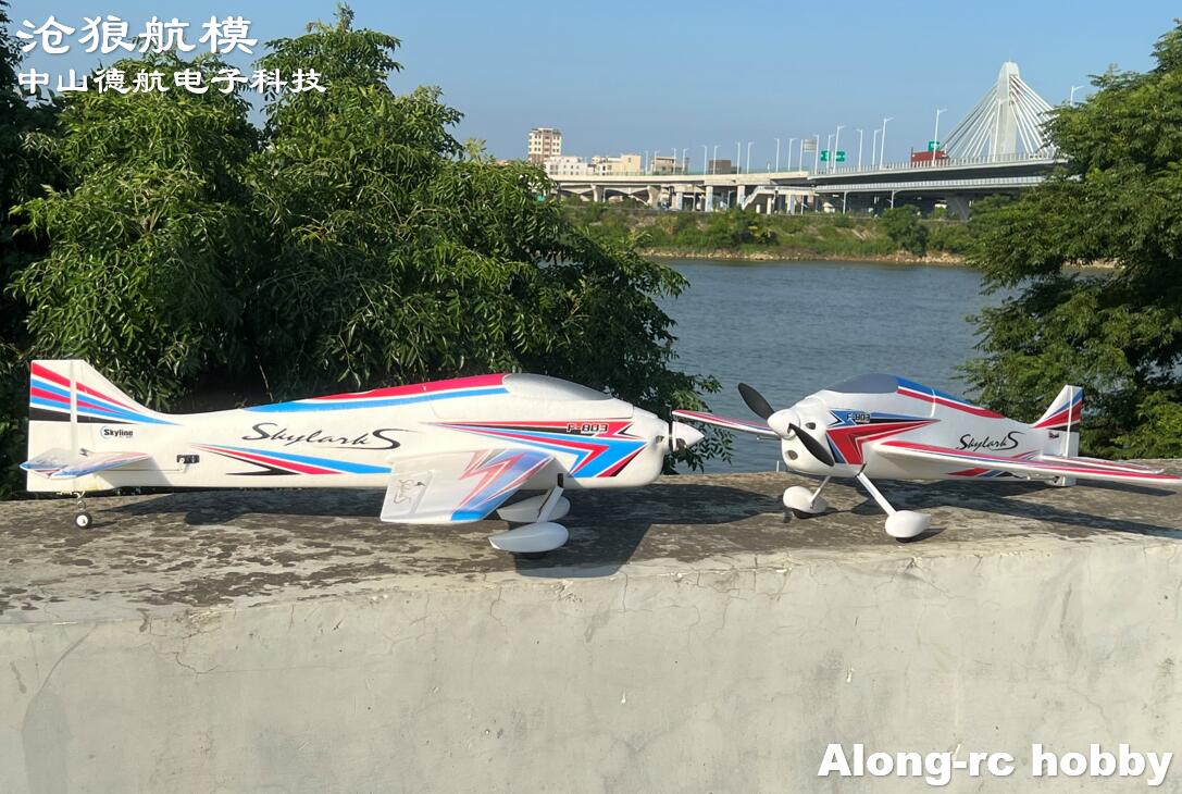 F803  F3A Skylarks 1000mm Wing - Model Kit Motor ulasan dan harga